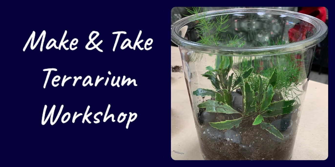 Private Terrarium Building Experience with a Friend or Small Group – Jungle  & Loom